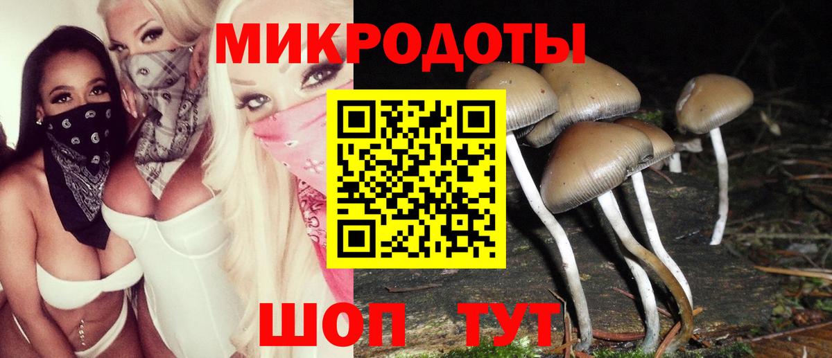 Обь  Галлюциногенные грибы Psilocybe  Вход с VPN 