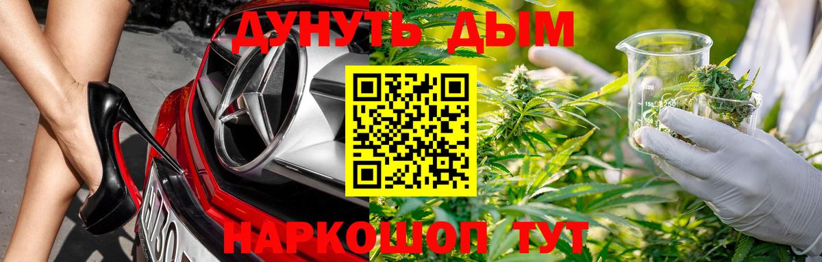 Бошки марихуана семена  Вход с VPN  Обь  Бошки марихуана индика  Бошки марихуана Bruce Banner 